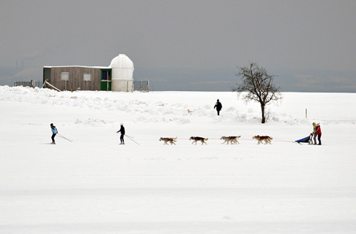 Schlittenhundetraining
