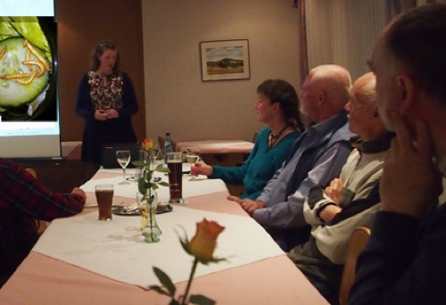 NABU Heuschrecken statt Steaks